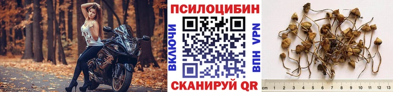 Галлюциногенные грибы GOLDEN TEACHER  дарк нет клад  Кольчугино 