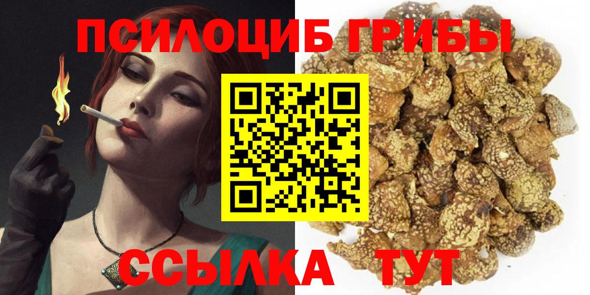 Псилоцибиновые грибы прущие грибы Кольчугино