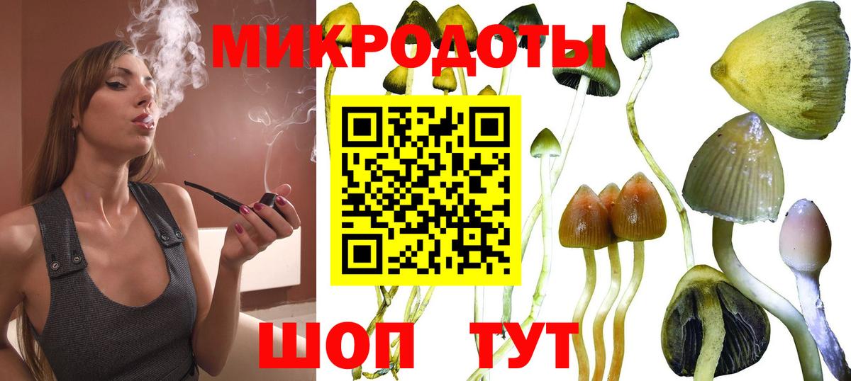 Псилоцибиновые грибы мухоморы  сколько стоит  Вход с VPN  Кольчугино  Псилоцибиновые грибы Psilocybe 