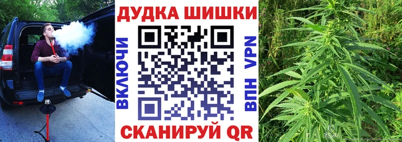 Бошки Шишки ГИДРОПОН закладка Кольчугино